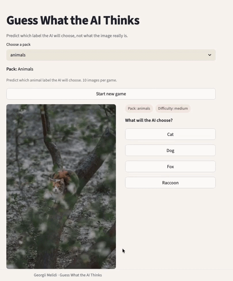 Guess What AI Thinks application screenshot